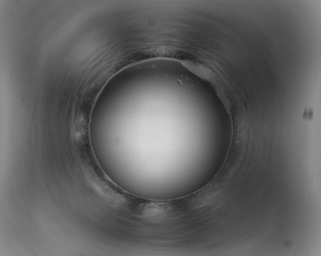 X0000114010077200910021353