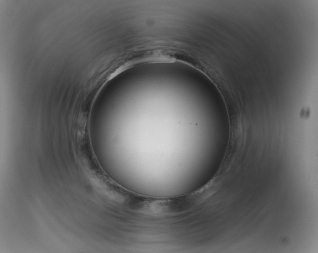 X0000114010078200910021353
