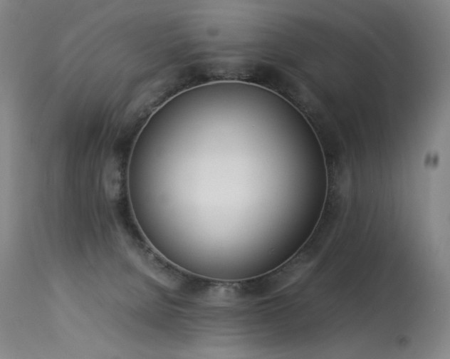 X0000114010080200910021353
