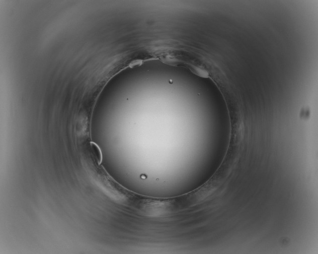 X0000114010081200910021353