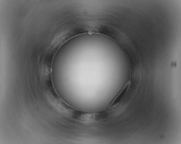 X0000114010084200910021353