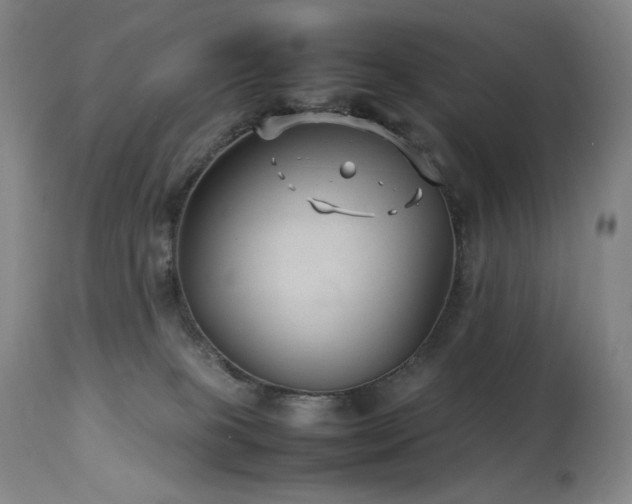 X0000114010085200910021353