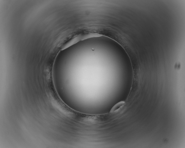 X0000114010086200910021353