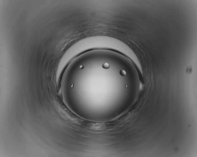 X0000114010088200910021354