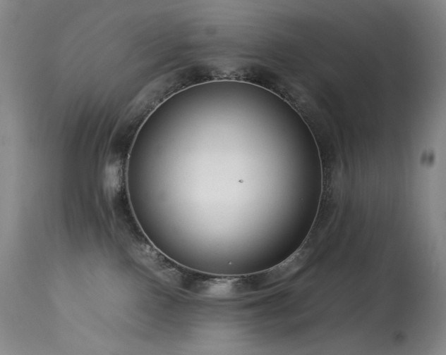 X0000114010090200910021354