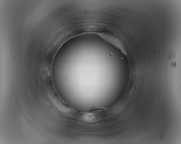 X0000114010091200910021354