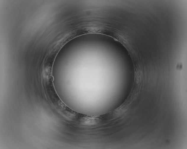 X0000114010093200910021354
