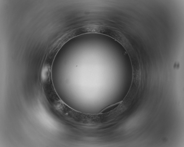X0000114010095200910021354