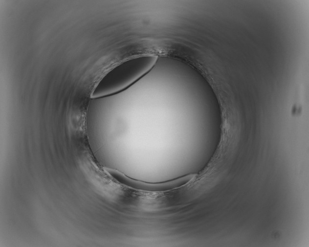 X0000114010096200910021354