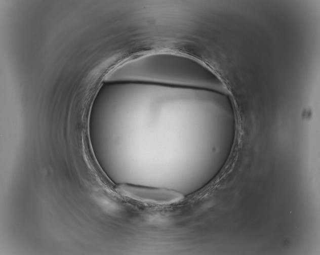 X0000114010097200910021353