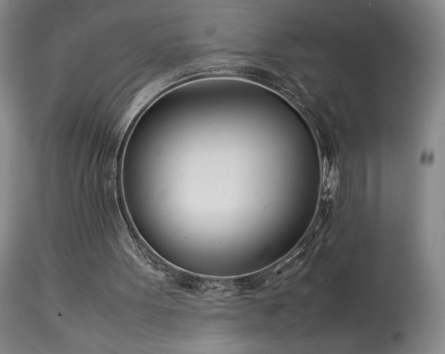 X0000114010099200910021353
