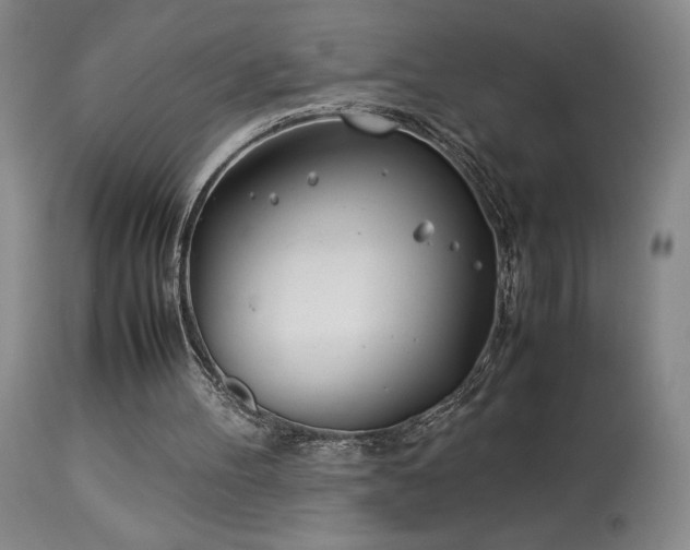X0000114010100200910021353