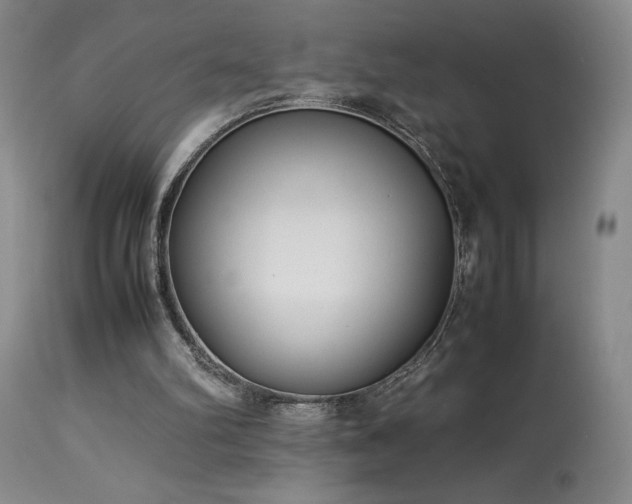 X0000114010102200910021353