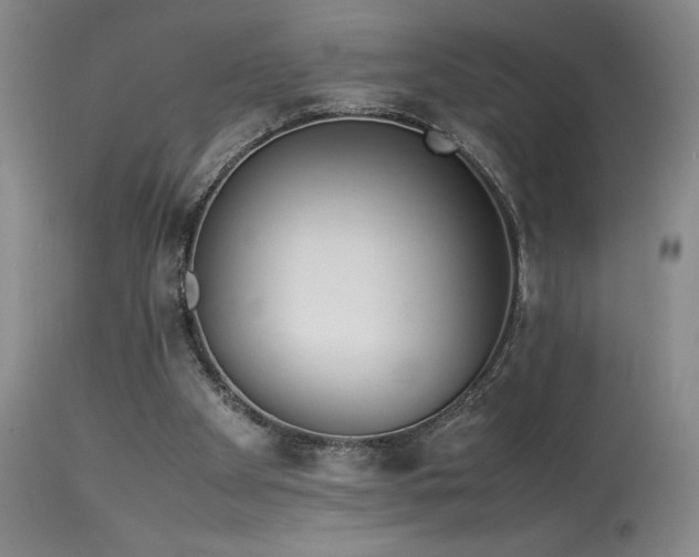 X0000114010105200910021353