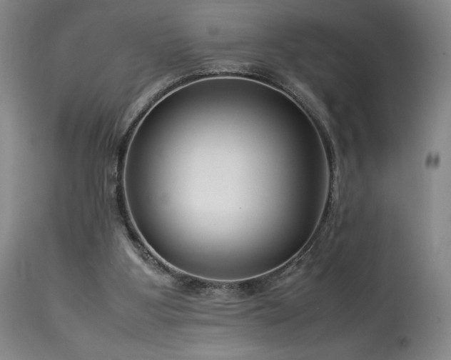 X0000114010107200910021352