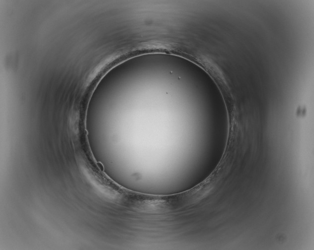X0000114010108200910021352