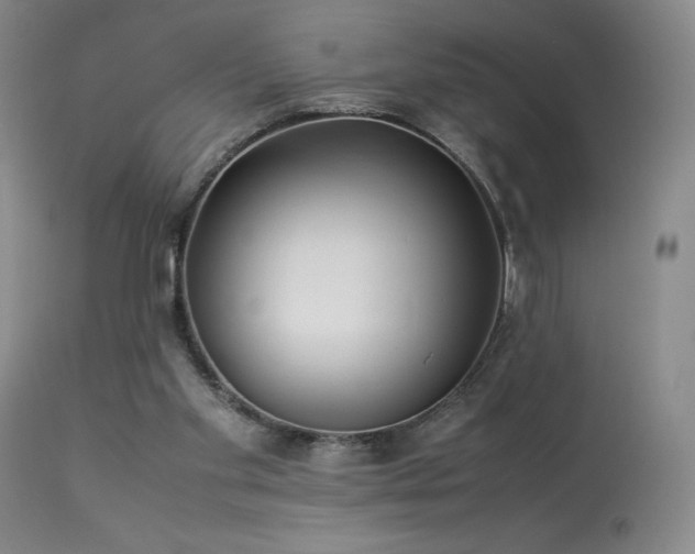 X0000114010109200910021352