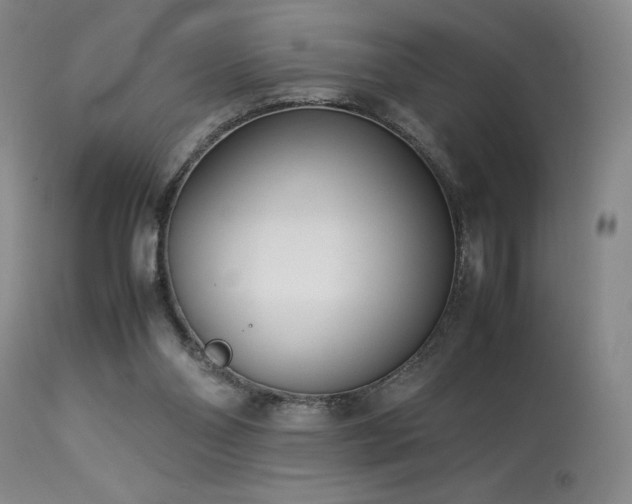 X0000114010110200910021352