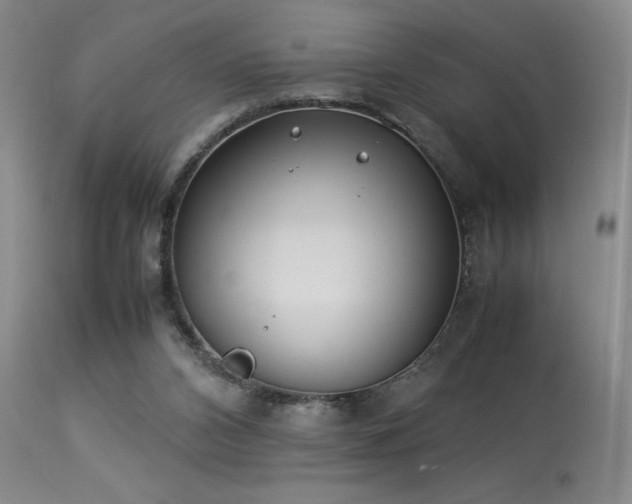 X0000114010112200910021352