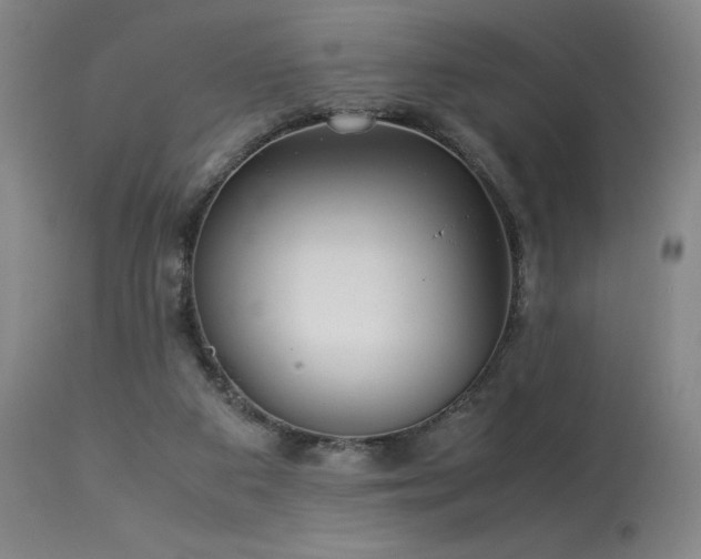 X0000114010113200910021352