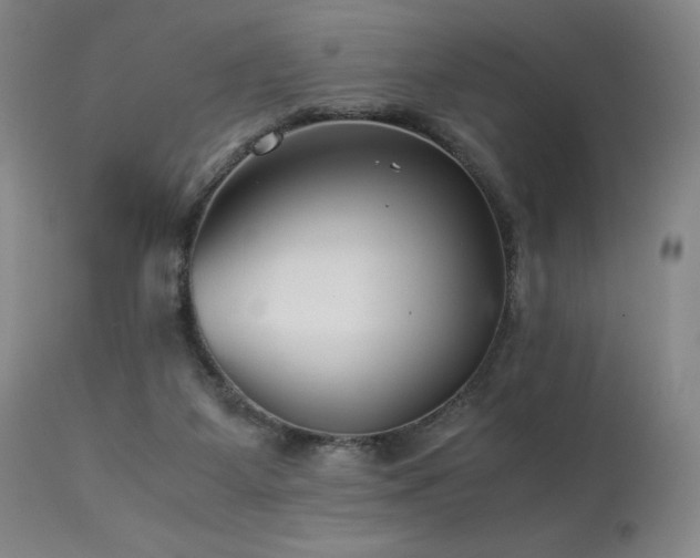 X0000114010115200910021352
