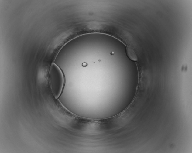 X0000114010116200910021352