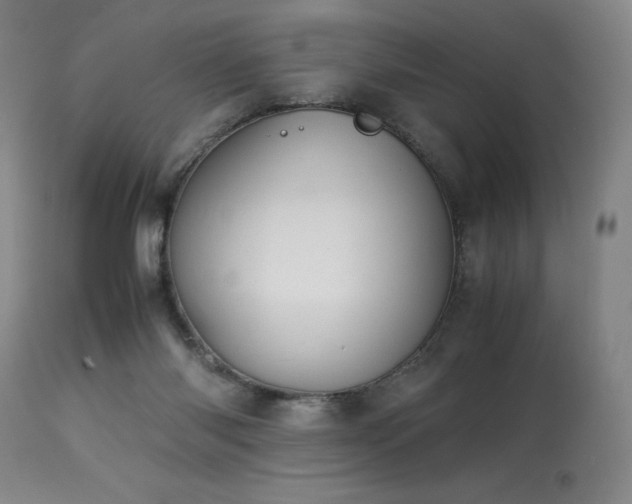 X0000114010118200910021352