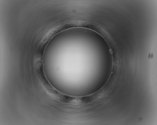 X0000114010119200910021352