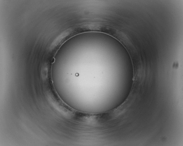 X0000114010120200910021352