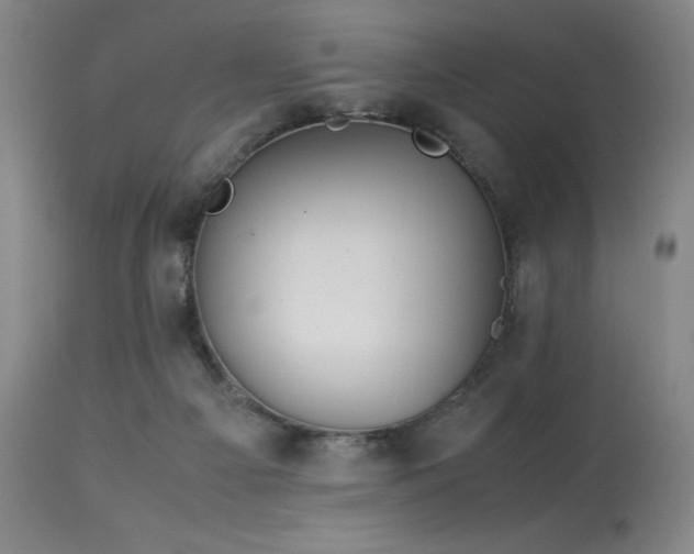 X0000114010121200910021352