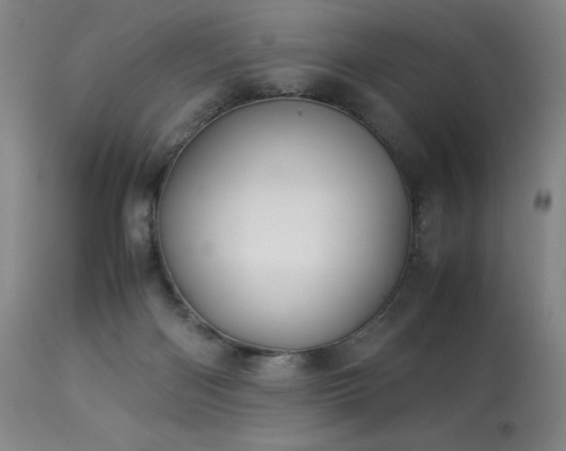 X0000114010122200910021352