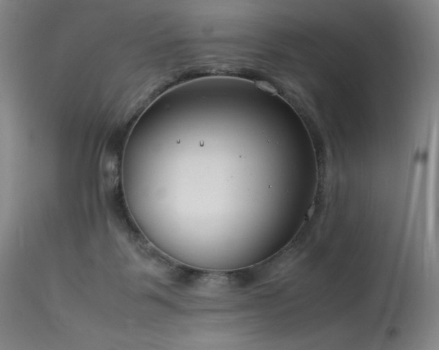 X0000114010123200910021352