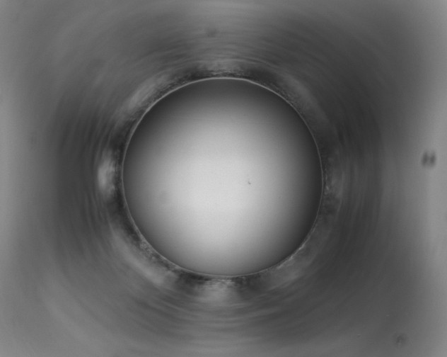 X0000114010124200910021352