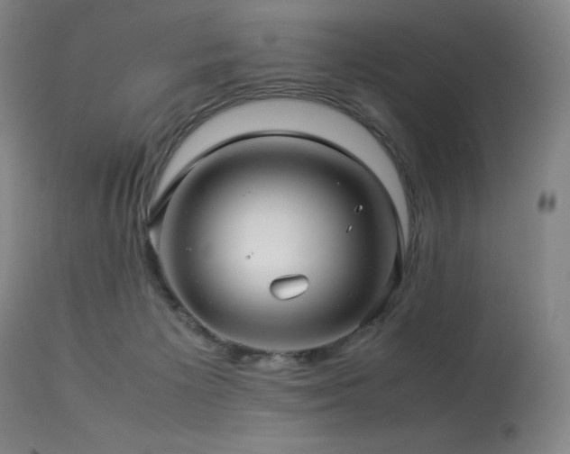 X0000114010125200910021352
