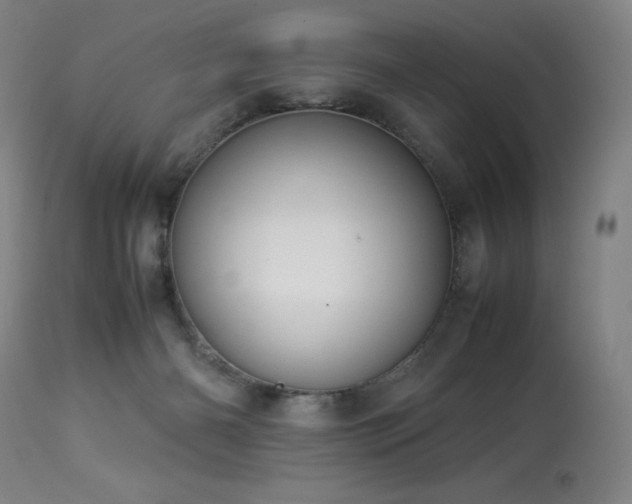 X0000114010126200910021352