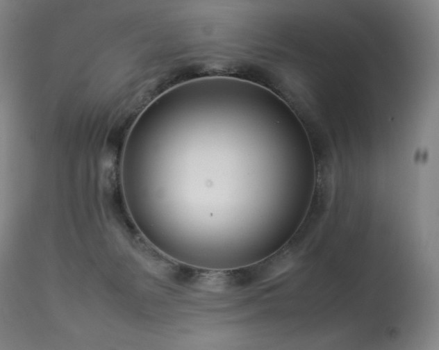 X0000114010127200910021352