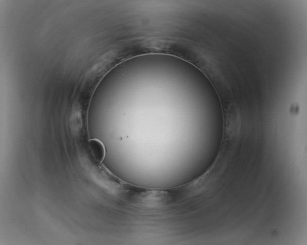 X0000114010128200910021352