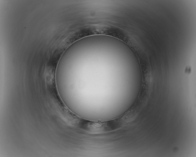 X0000114010129200910021352