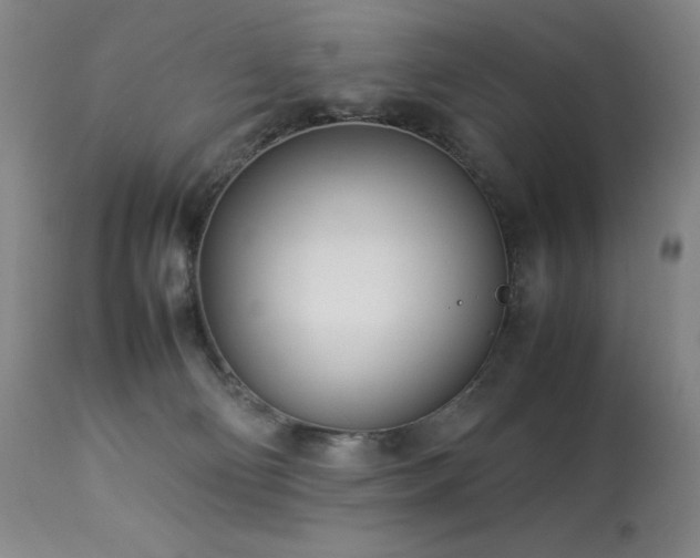 X0000114010130200910021352