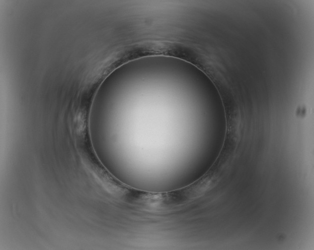 X0000114010131200910021352