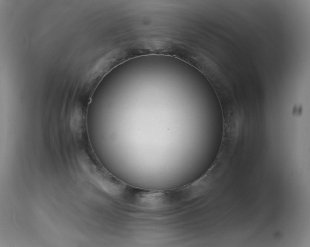 X0000114010132200910021352