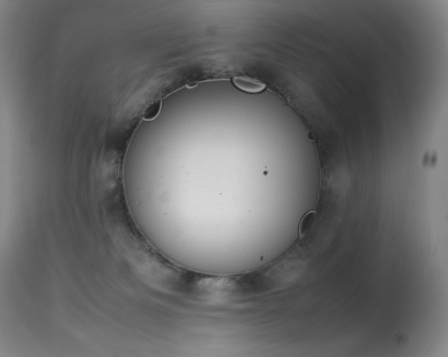 X0000114010133200910021352