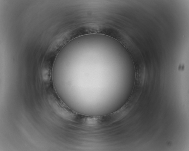 X0000114010134200910021352