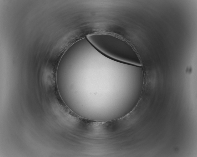 X0000114010136200910021352