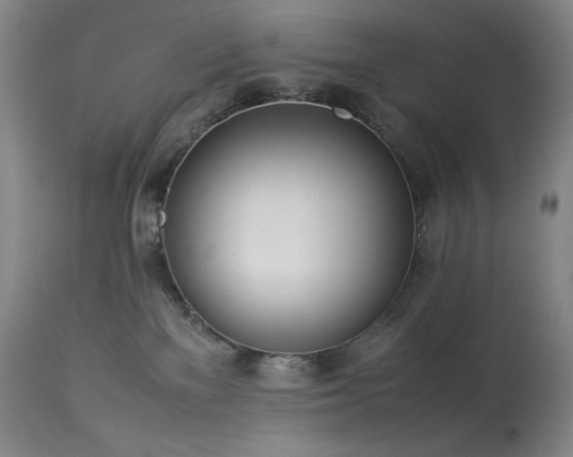 X0000114010137200910021352