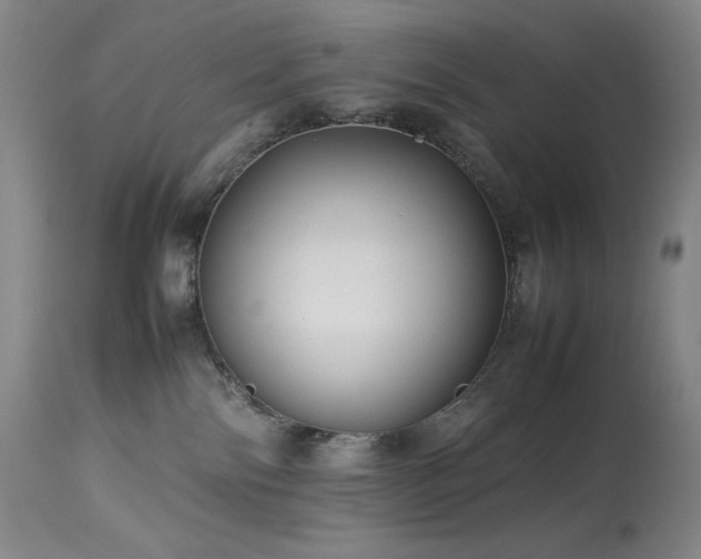 X0000114010138200910021352