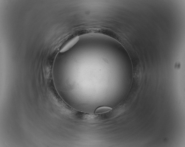 X0000114010139200910021352