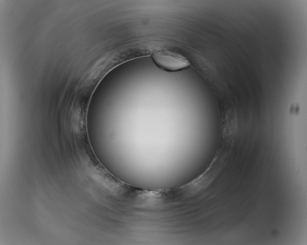 X0000114010140200910021352