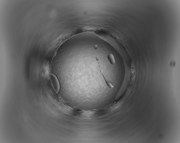 X0000114010143200910021352