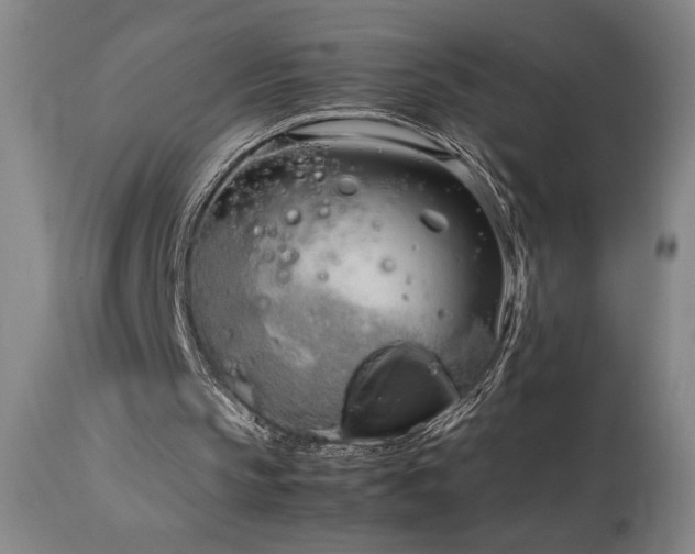 X0000114010145200910021351